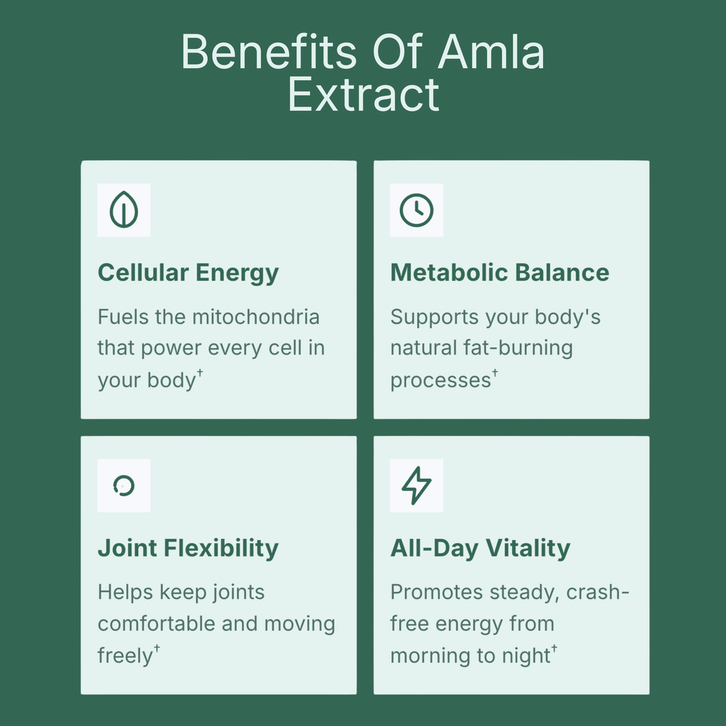 Amla Superfruit Extract