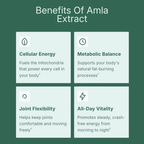 Amla Superfruit Extract